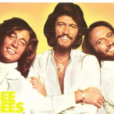 CPI (B4016) FORMATIA BEE GEES, CARTE POSTALA ILUSTRATA, NECIRCULATA, CASA FILMULUI ACIN (3)