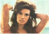 CPI (B4002) RAQUEL WELCH, SCRISA SI NECIRCULATA, CASA FILMULUI ACIN (13), Fotografie