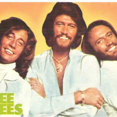 CPI (B4015) FORMATIA BEE GEES, CARTE POSTALA ILUSTRATA, NECIRCULATA, CASA FILMULUI ACIN (2)