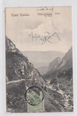 B76514 Romania Sinaia Busteni Valea Cerbului Calea la Imal 1906 foto