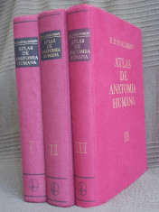 R.D.SINELNIKOV - ATLAS DE ANATOMIE UMANA * 3 VOLUME ( IN LIMBA SPANIOLA ) - EDITIA 4-A - 1984 foto