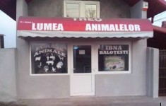 vand furaje IBNA balotesti foto