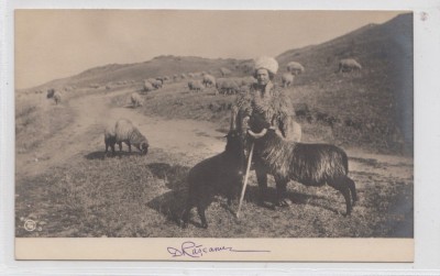 B76495 Romania Port Popular Cioban la oi 1900 foto