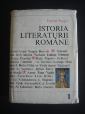 GEORGE IVASCU - ISTORIA LITERATURII ROMANE foto