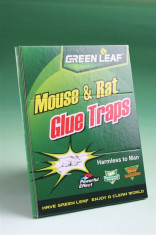 Capcana Antisoareci - Mouse &amp;amp;amp; Rat Green Traps foto