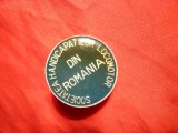 Insigna Asociatia Handicapatilor Locomotori din Romania , d= 2,5 cm, Romania de la 1950