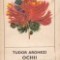 Tudor Arghezi - Ochii Maicii Domnului (poem)