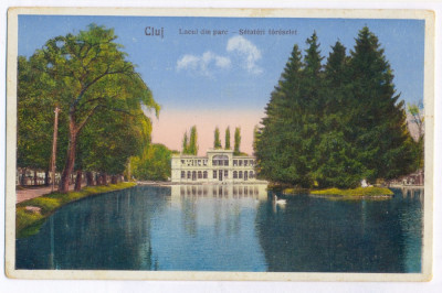 1402 - CLUJ, Lacul din parc - old postcard - unused - 1931 foto