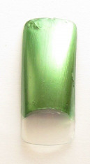 Oja clasica metalizata (oglinda) pentru unghii naturale, 22 ml culoarea 19 foto