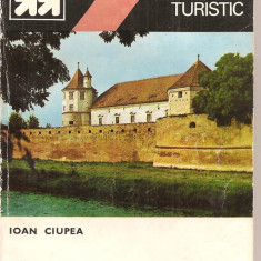 (C4667) MIC INDREPTAR TURISTIC. FAGARAS DE IOAN CIUPLEA, EDITURA SPORT-TURISM, 1983