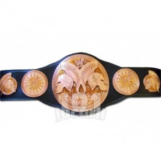 Centura Tag Team Championship foto