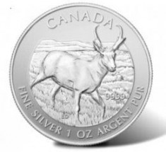 monede argint,1oz Canadian Antelope,Buffalo,Liberdad, Suriname 10 dollar foto