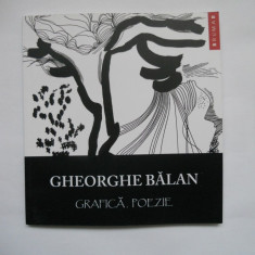 CARTE GHEORGHE BALAB, GRAFICA.POEZIE, TIMISOARA, 2013