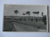 RARA! C.P. REGHIN DIN 1916