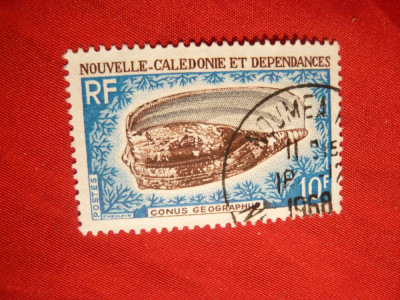 Serie- Cochilie 1968 Noua Caledonie teritoriu francez , 1968 ,1 val. stamp. foto