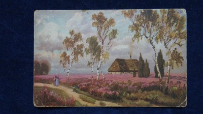 Vedere TSN Series 1883 - Peisaj foto