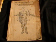 ANATOMIA OMULUI-VOL2- MEMBRELE-RANGA- P.ZAHARNITA-ISPAS-CATREDA DE ANATOMIE- foto