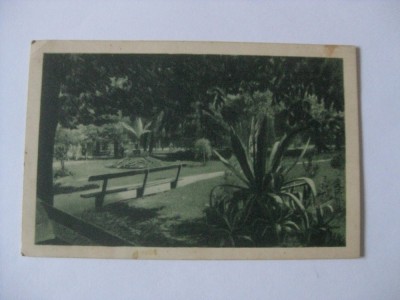 C.P.BUZIAS DIN 1939 foto