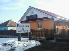 Panselute de vanzare foto