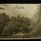 Baile Buzias - Parte din parc - Vedere circulata 1938