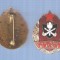 INSIGNA POMPIER &quot; 10 ANI F.P.C.I.&quot;