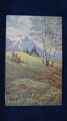 Peisaj deluros/ de munte - Vedere Elite - circulata 1943, fara timbru foto