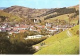CPI (B4176) CAMPENI (CIMPENI), EDITURA OSETCM, CIRCULATA, 1981, STAMPILE, TIMBRU IMPRIMAT