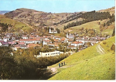 CPI (B4176) CAMPENI (CIMPENI), EDITURA OSETCM, CIRCULATA, 1981, STAMPILE, TIMBRU IMPRIMAT foto