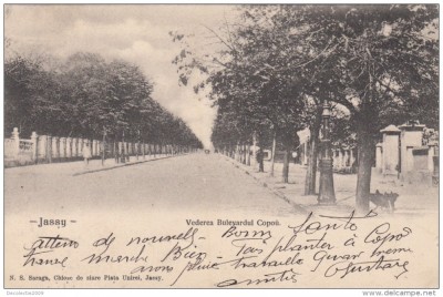 B76362 Jassy Iasi Bulevardul Copou SUPERB ETAT Stare perfecta 1900 foto