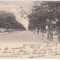 B76362 Jassy Iasi Bulevardul Copou SUPERB ETAT Stare perfecta 1900