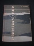 GH. COSTACHE - FORAJUL HIDROGEOLOGIC {1963}, Alta editura