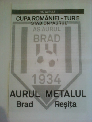 Aurul Brad-Metalul Resita (2013-Cupa Romaniei) foto