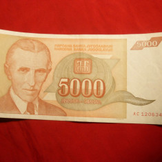 Bancnota 5000 Dinari 1993 Yugoslavia , cal.Buna-F.Buna