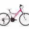 Bicicleta copii CTM Willy 2.0 cu roti de 24&quot; - marime 14&quot; (35 cm)