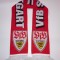 Fular fotbal VFB STUTTGART