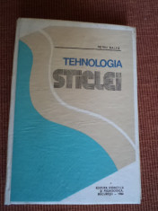 Tehnologia sticlei Petru Balta editura didactica si pedagogica 1984 foto