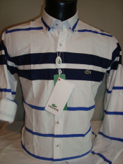 CAMASA /CAMASI LACOSTE BUMBAC 100% slim fit MODEL NOU foto