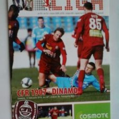CFR Cluj Napoca-Dinamo Bucuresti (13 februarie 2010)