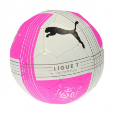 Minge fotbal Puma Ligue 1 Replica pink foto