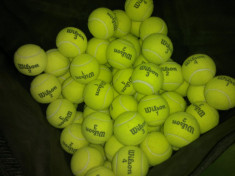 ..:: 72 mingi Tenis Wilson (jucate in sala) ::.. foto