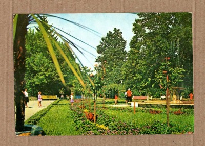 BUZIAS TIMIS PARCUL 1977 foto