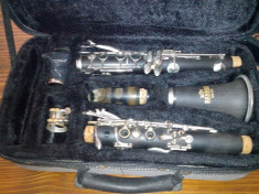 Vand clarinet Roy Benson CB- 218 foto