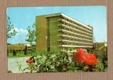 BAILE AMARA IALOMITA 1983