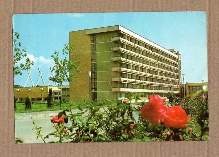 BAILE AMARA IALOMITA 1983