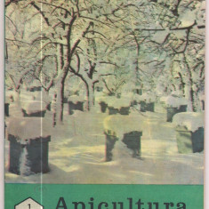 5A(000) revista-APICULTURA IN ROMANIA ianuarie 1989