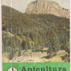 5A(000) revista-APICULTURA IN ROMANIA august 1989