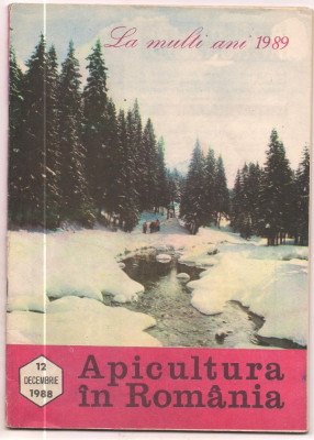 5A(000) revista-APICULTURA IN ROMANIA decembrie 1988 foto