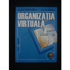 BOGDAN GHILIC-MICU, MARIAN STOICA - ORGANIZATIA VIRTUALA