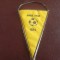 Fanion fotbal -clubul Aurul Brad !