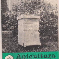 5A(000) revista-APICULTURA IN ROMANIA iunie 1989